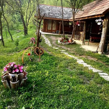 Hidden Garden Kide