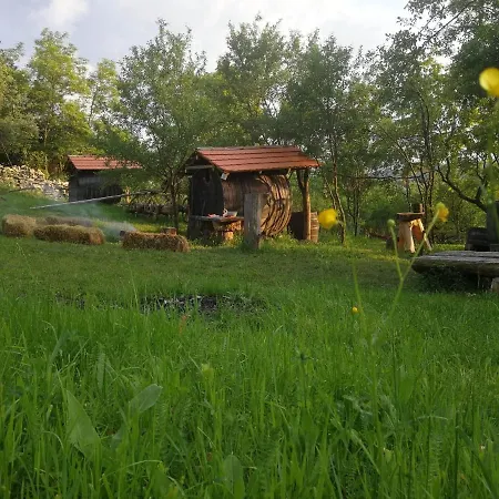 Hidden Garden Kide