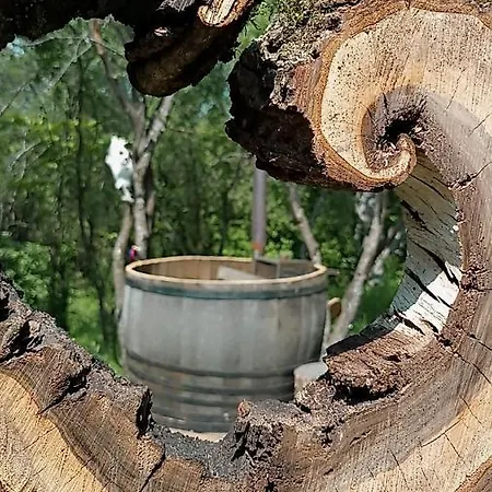 Campeggio Hidden Garden Kide